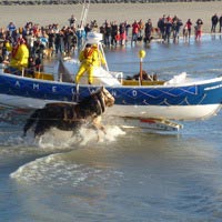 Demonstratie paardenreddingboot Ameland