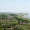 Het Oerd ook wel de Oerduinen op Ameland