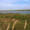 Kroon's Polders op Vlieland