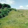 Natuurgebied De Hoge Berg op Texel