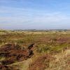 Natuurgebied Koegelwieck op Terschelling