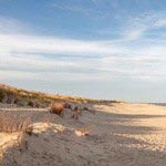 Zon, zee en strand op vakantie naar Texel