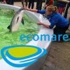 Bezoek EcoMare op Texel tijdens uw vakantie Bezoek EcoMare op Texel tijdens uw vakantie