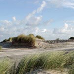 Laat u vertroetelen door de zon in het zeeklimaat van Schiermonnikoog