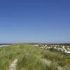 Kampeerterrein Stortemelk op Vlieland