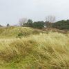 Natuurgebied Noorderduinen op Schiermonnikoog