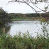 Natuurgebied Westerplas op Schiermonnikoog