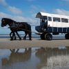 Puur Terschelling voor de leukste uitstapjes op het eiland