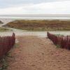 Het Westerstrand op Schiermonnikoog