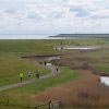 Zestig van Texel