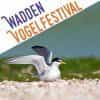 Texelse Wadden Vogelfestival