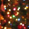 Winterfair Schiermonnikoog Winterfair