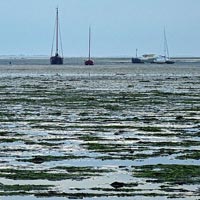 Het wad bij de jachthaven van Schiermonnikoog