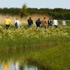 Happen en Trappen op Texel