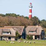 Wat te doen op Ameland